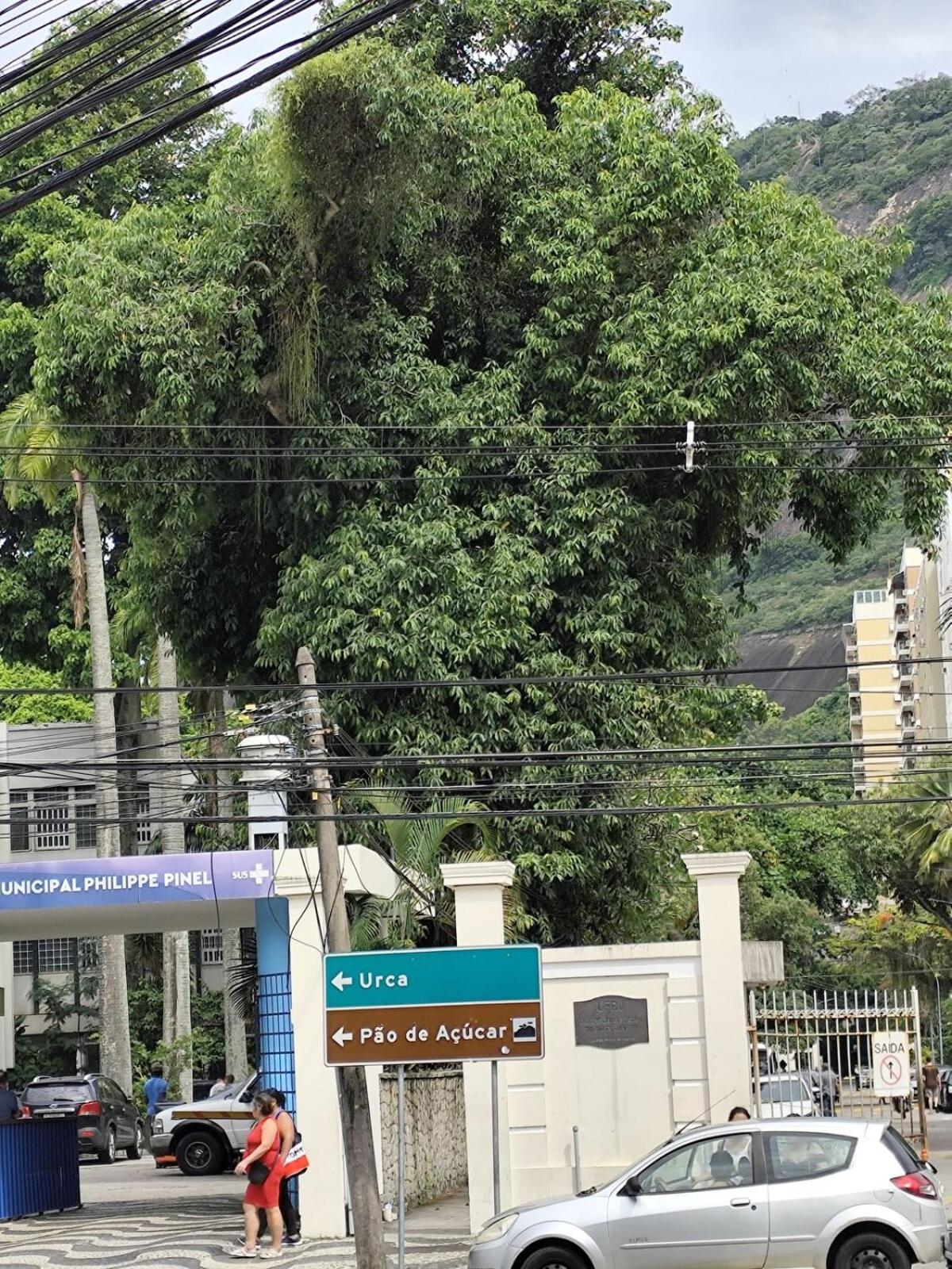 Casinha Com Cinema Aos Pes Do Pao De Acucar